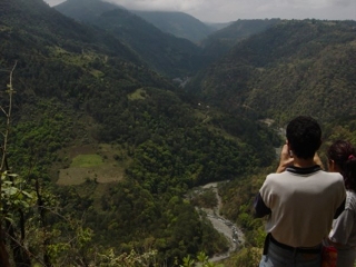  树木繁茂的景观 